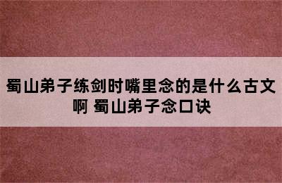 蜀山弟子练剑时嘴里念的是什么古文啊 蜀山弟子念口诀